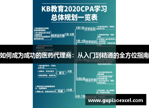 如何成为成功的医药代理商：从入门到精通的全方位指南